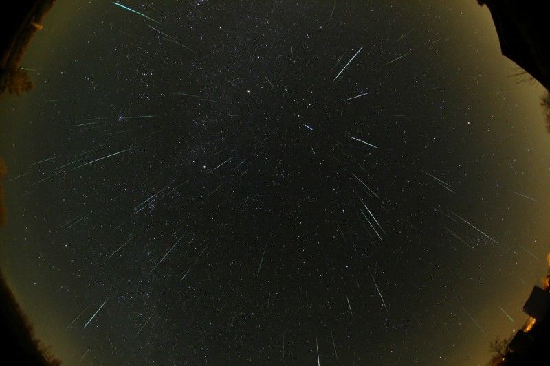 Geminids in 2007