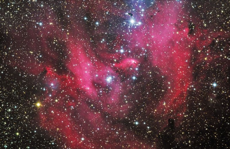 IC 2948: The Running Chicken Nebula