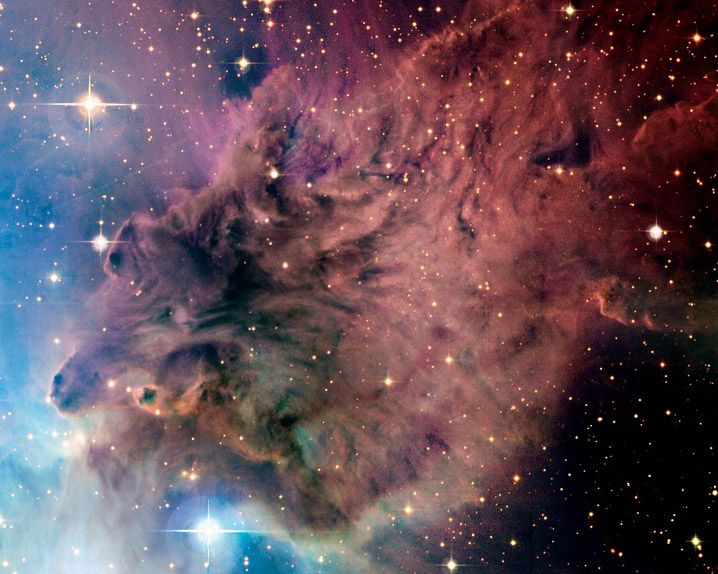 The Fox Fur Nebula from CFHT