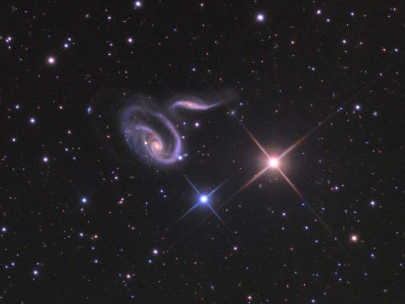 Arp 273