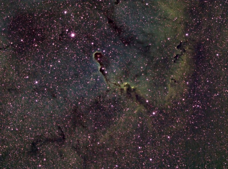 The Elephant's Trunk in IC 1396