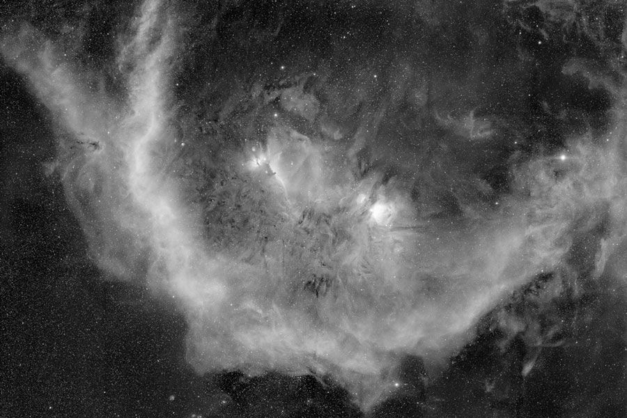 Barnard's Loop around the Horsehead Nebula