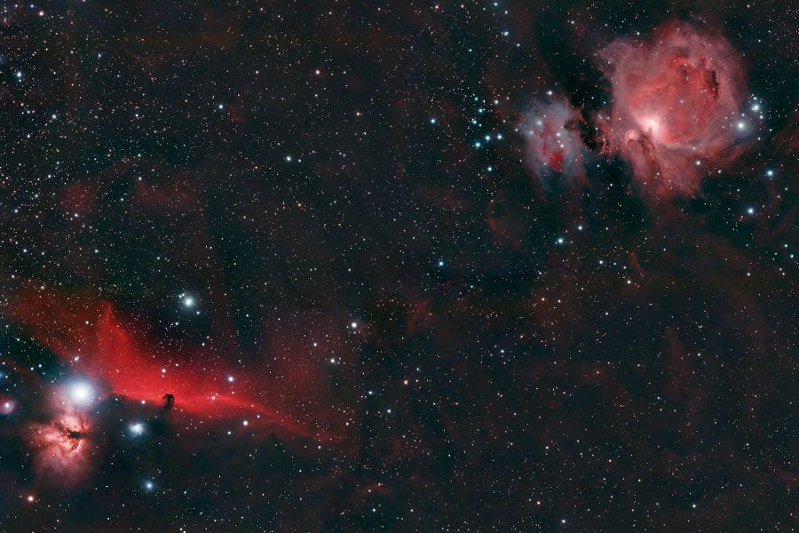 Horsehead and Orion Nebulae