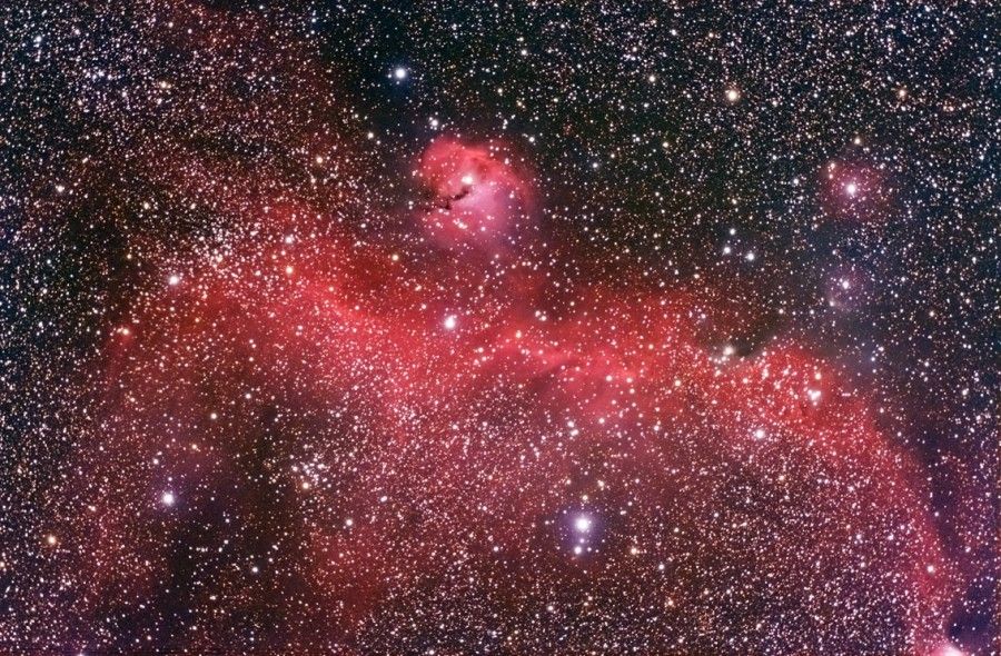 The Seagull Nebula