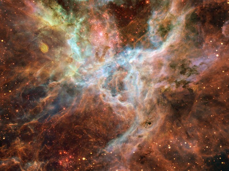 In the Heart of the Tarantula Nebula