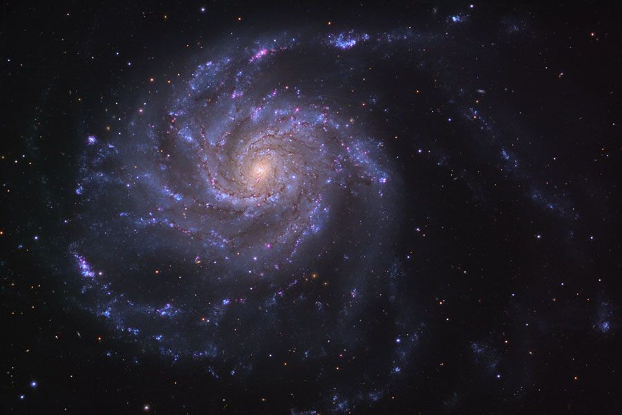 M101: The Pinwheel Galaxy