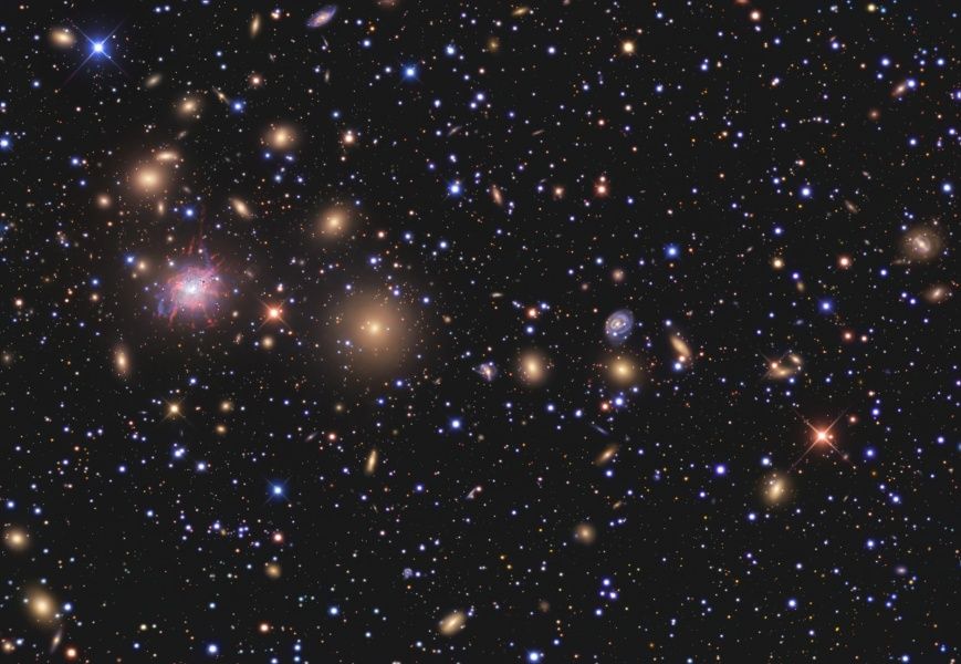 Galaxies of the Perseus Cluster