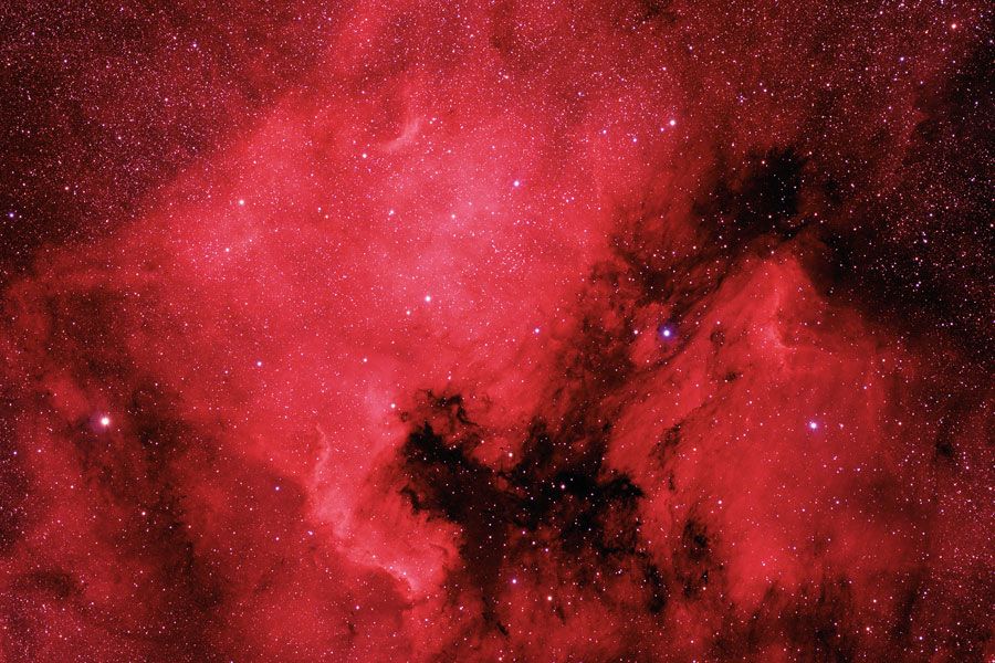 The North America and Pelican Nebulae