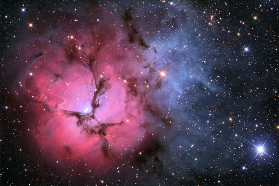 The Trifid Nebula in Stars and Dust