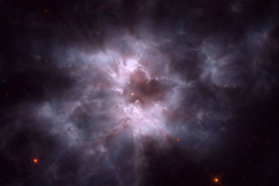 NGC 2440: Cocoon of a New White Dwarf