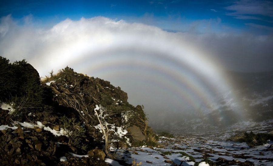A Hall of Mountain Fogbows