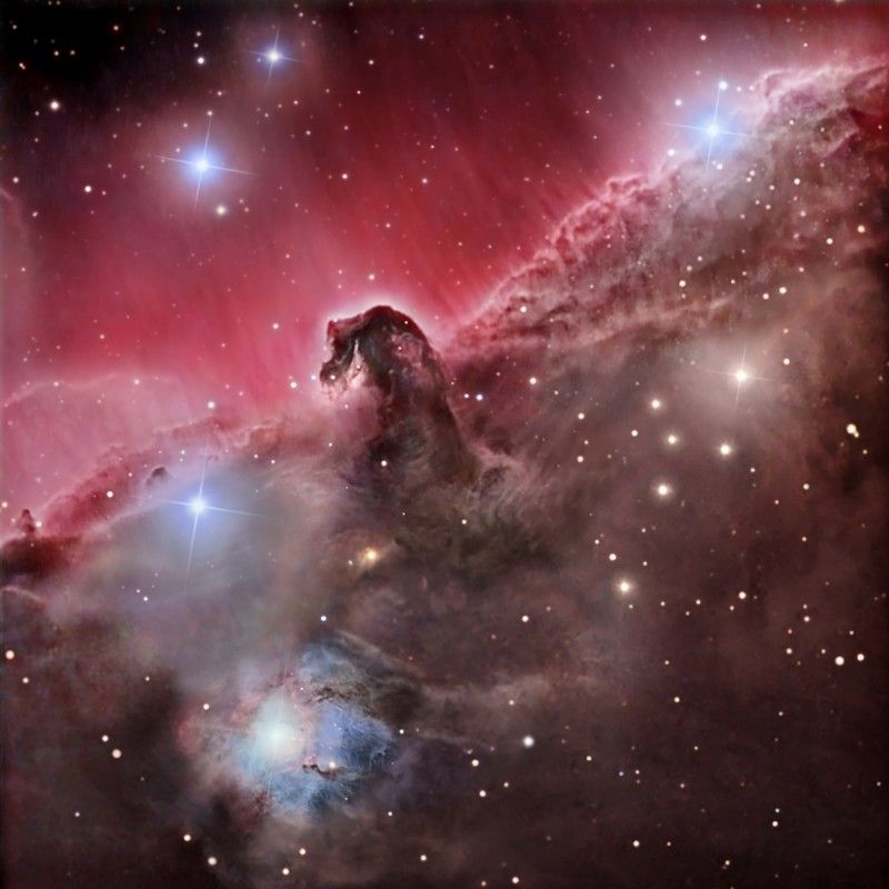 The Magnificent Horsehead Nebula