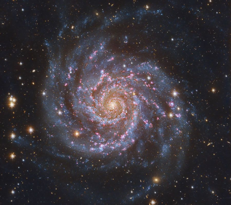 M74: The Perfect Spiral