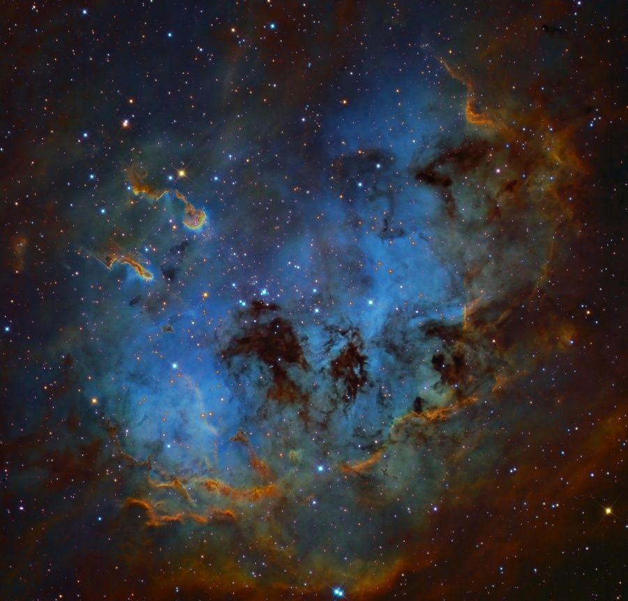 The Tadpoles of IC 410