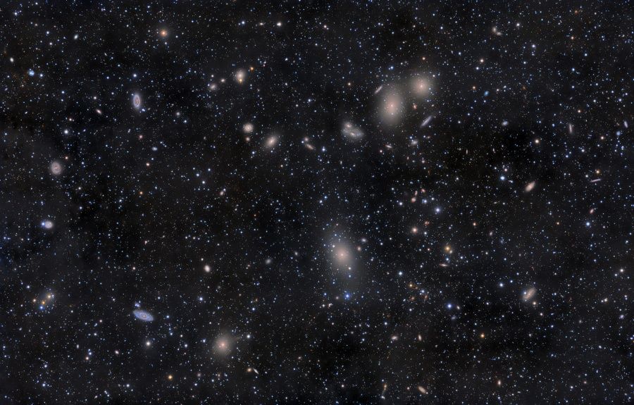 Virgo Cluster Galaxies