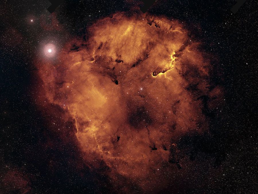 Monsters of IC 1396