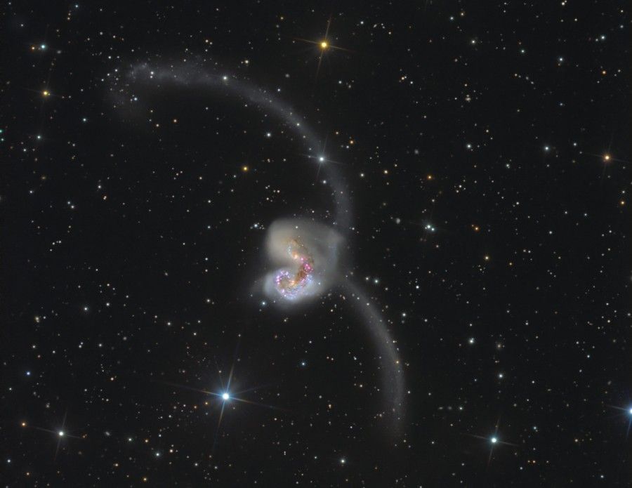 The Antennae