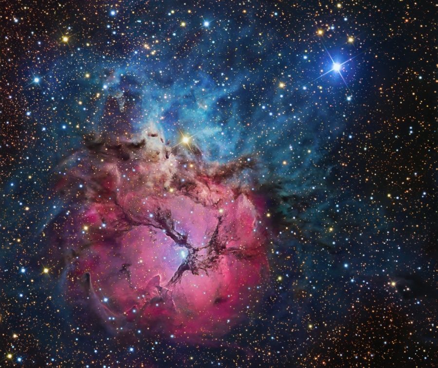 A Beautiful Trifid