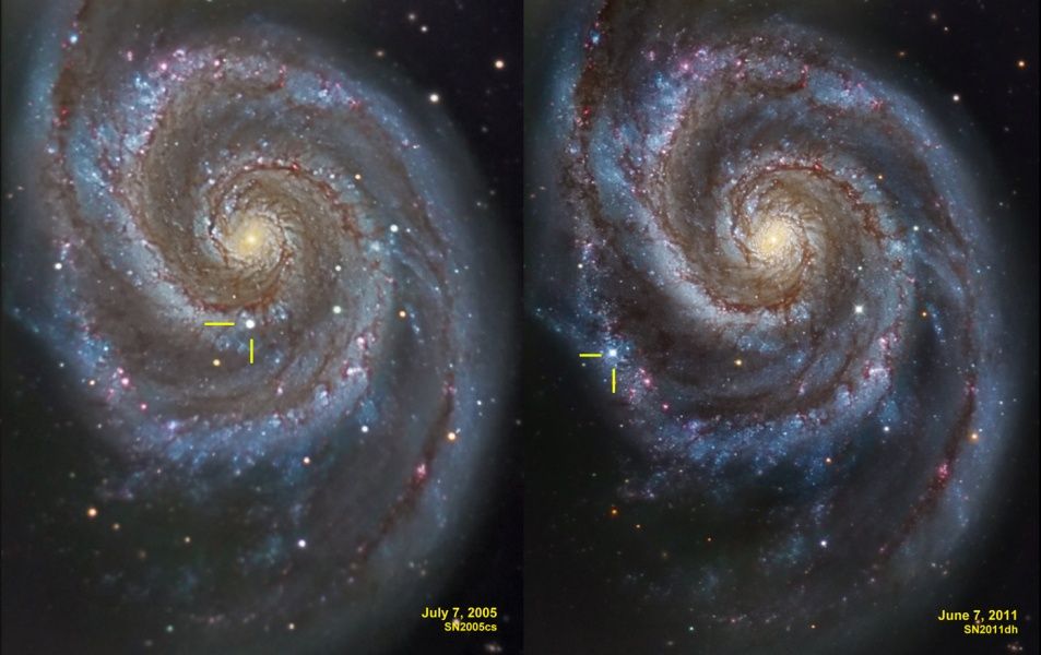 Supernovae in the Whirlpool