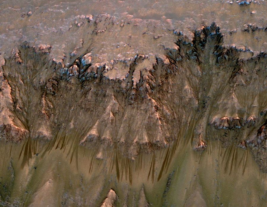 Seasonal Dark Streaks on Mars