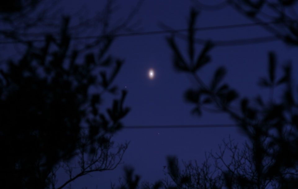 An Unusual Venusian Oval