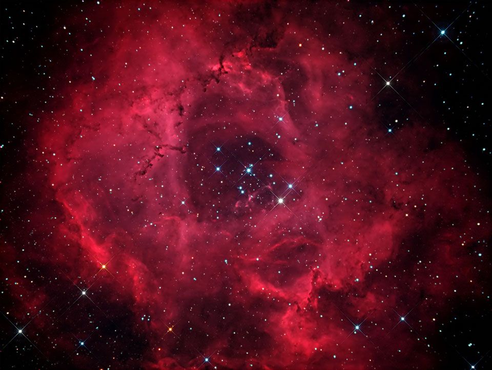 The Rosette Nebula