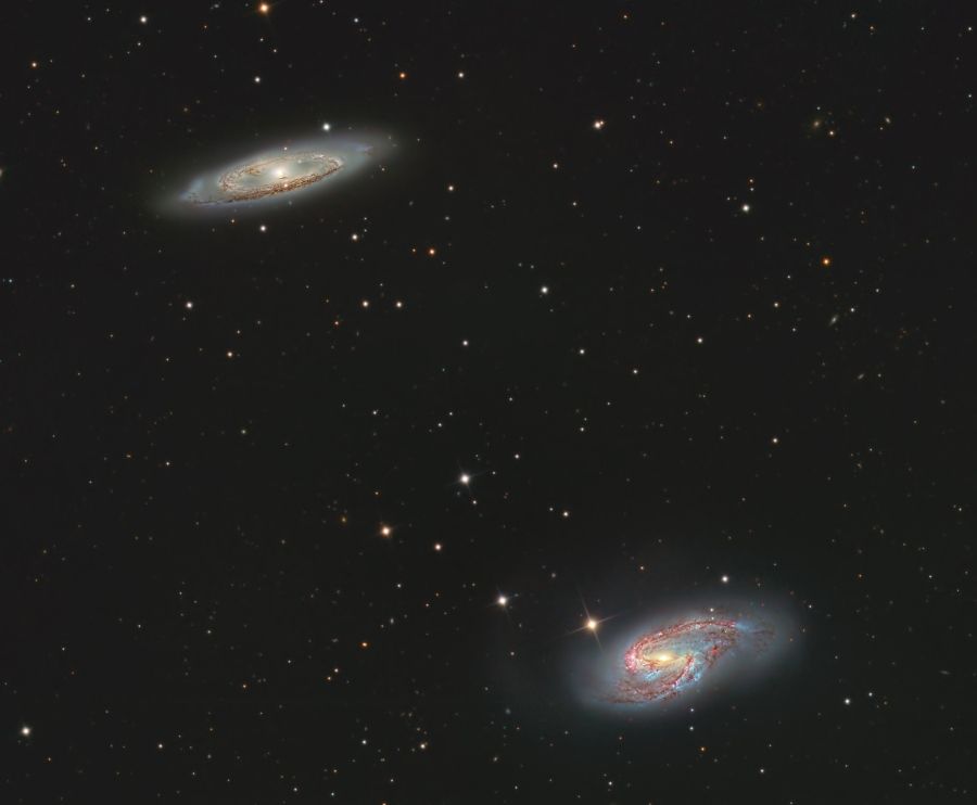 M65 and M66