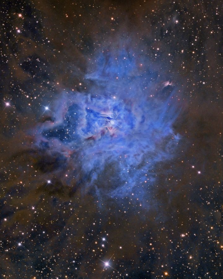 NGC 7023: The Iris Nebula