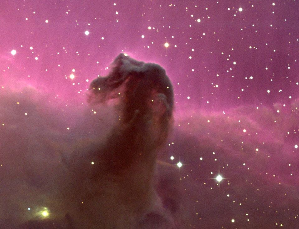 The Horsehead Nebula