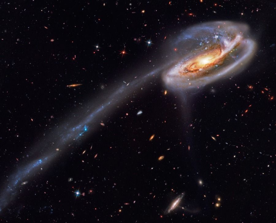 Arp 188 and the Tadpole's Tail