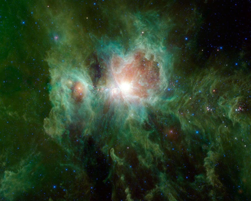 Infrared Orion from WISE