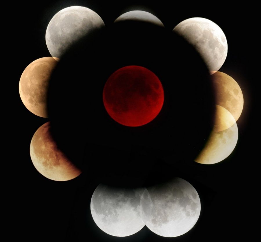 Lunar Eclipses