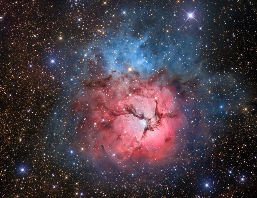 The Beautiful Trifid