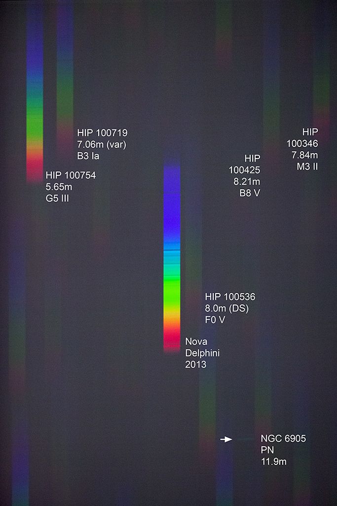 A Spectrum of Nova Delphini