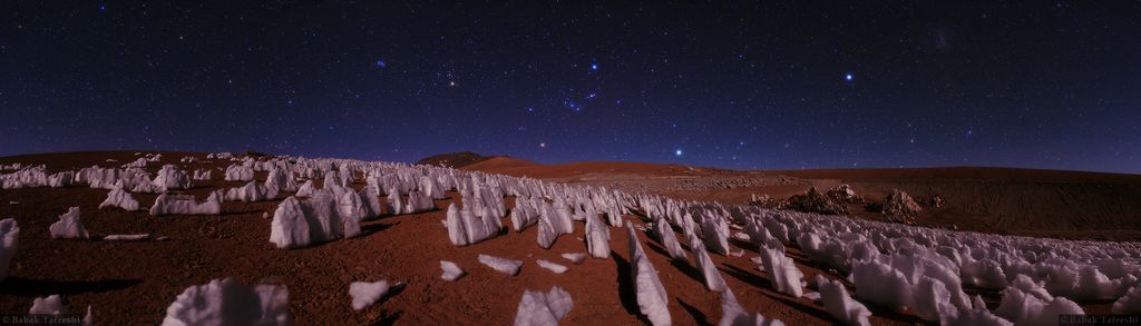 Night in the Andes Ice Forest