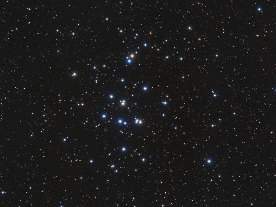 M44: The Beehive Cluster