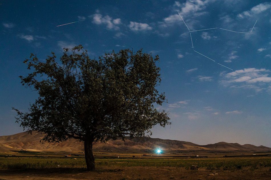 Perseid in Moonlight