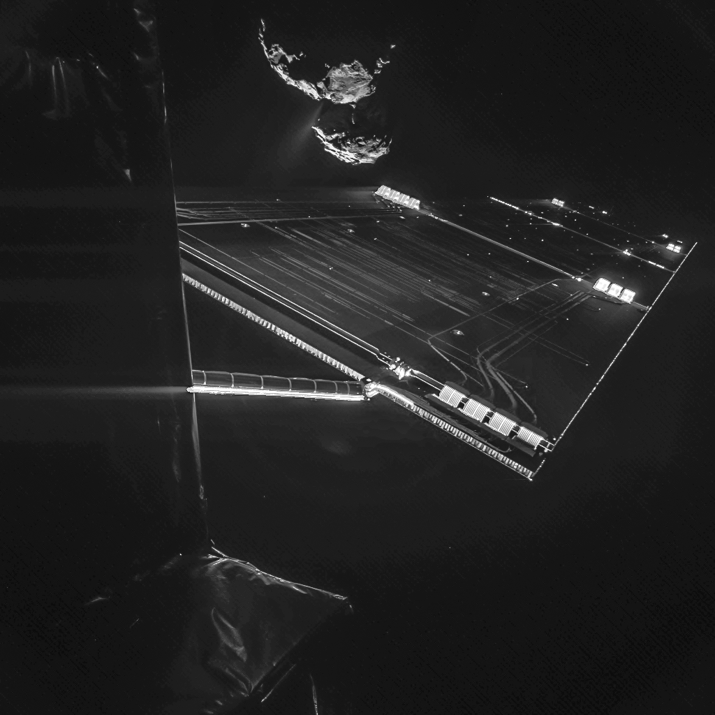 Rosetta's Selfie