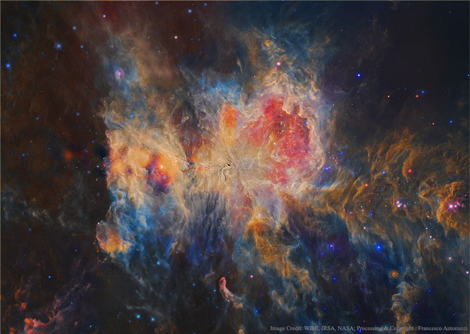 Infrared Orion from WISE