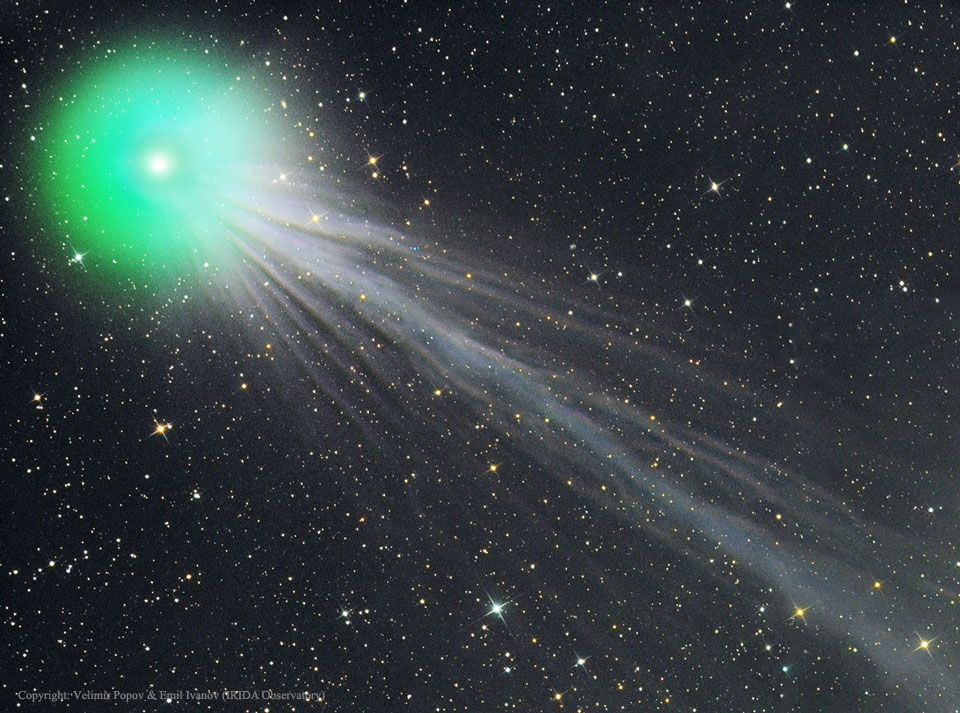 The Complex Ion Tail of Comet Lovejoy