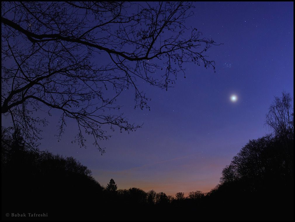 Venus in the West