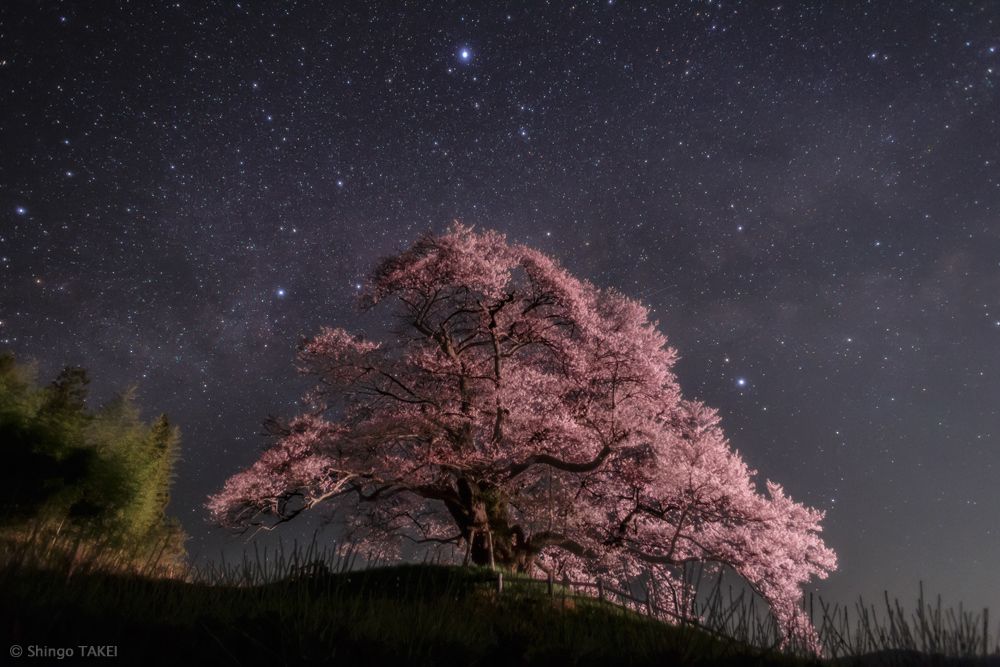 Summer Triangles over Japan