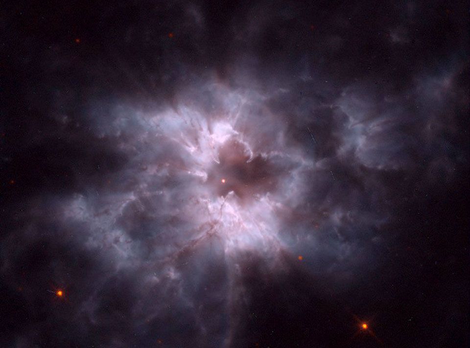 NGC 2440: Pearl of a New White Dwarf