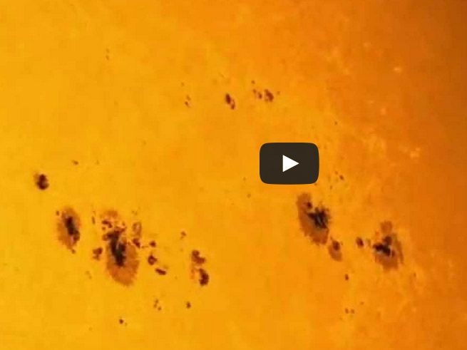 Sunspot Group AR 2339 Crosses the Sun