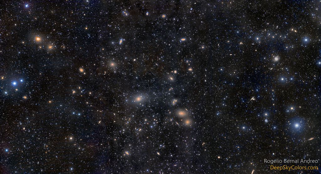 Virgo Cluster Galaxies