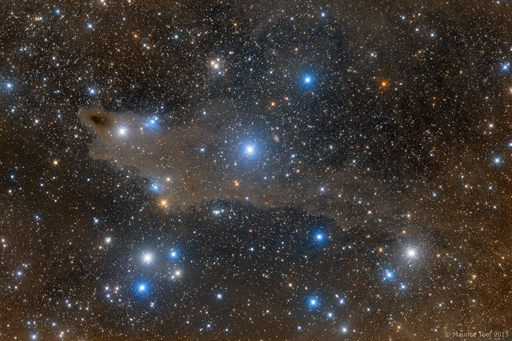 The Shark Nebula