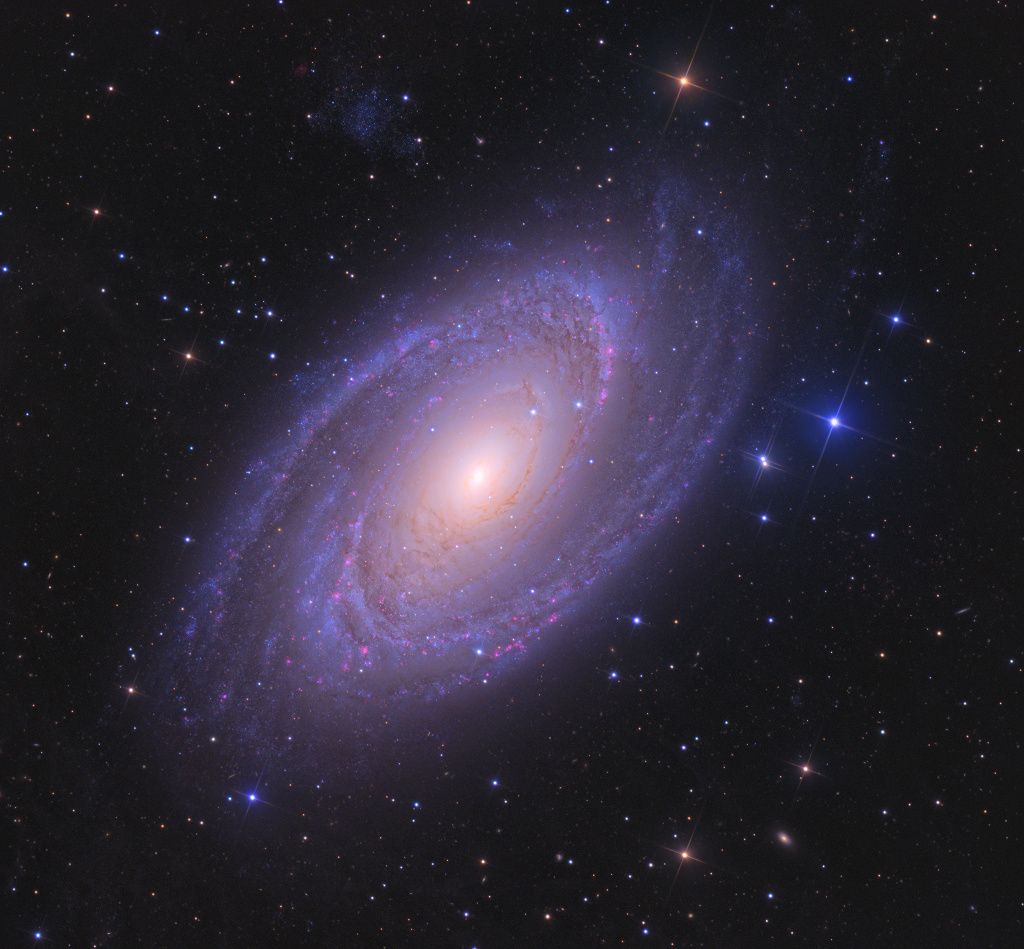 Bright Spiral Galaxy M81
