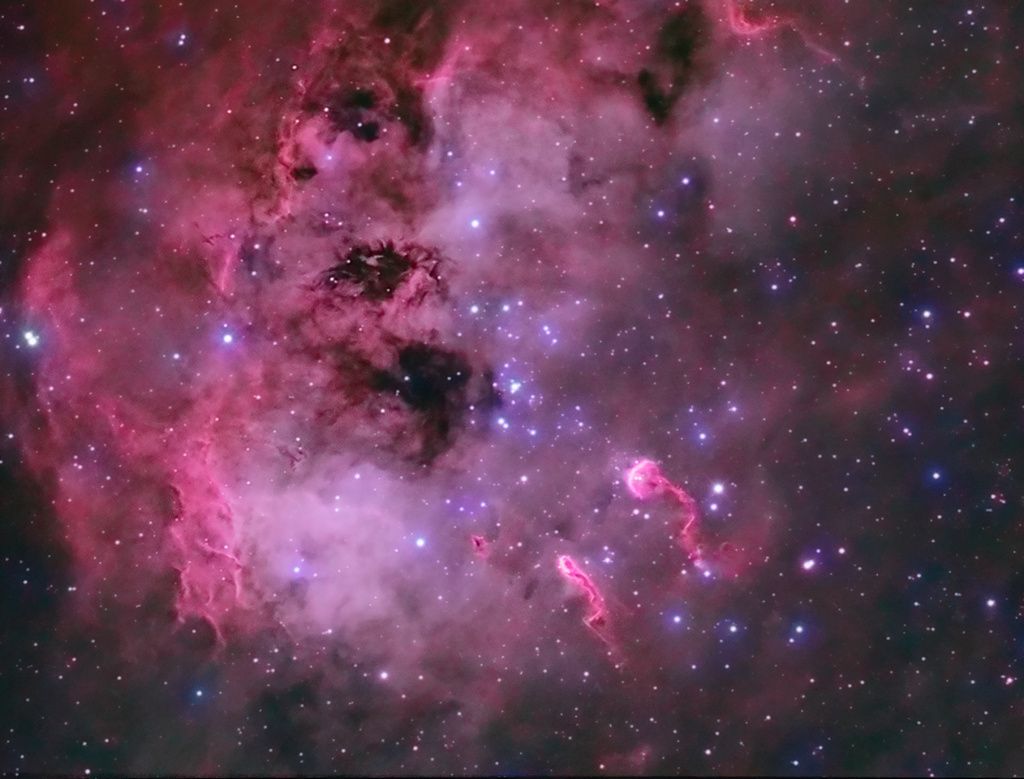 The Tadpoles of IC 410