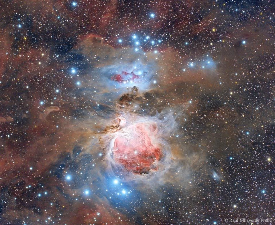 Dust of the Orion Nebula