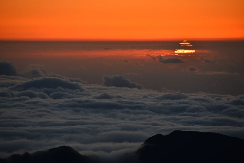 A Green Flash of Spring